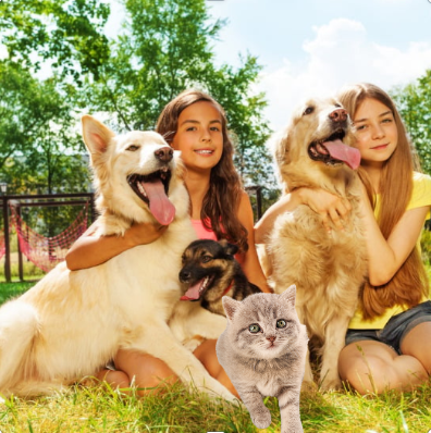 pets